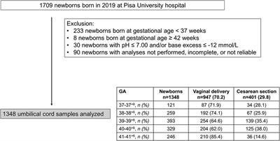 Fetal oxygenation in the last weeks of pregnancy evaluated through the umbilical cord blood gas analysis
